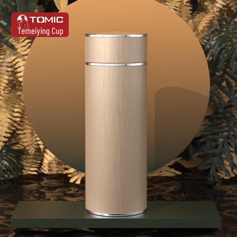 Temeike 280mL Ceramic Lined Insulated Tea Tumbler with 999 Silver Lid