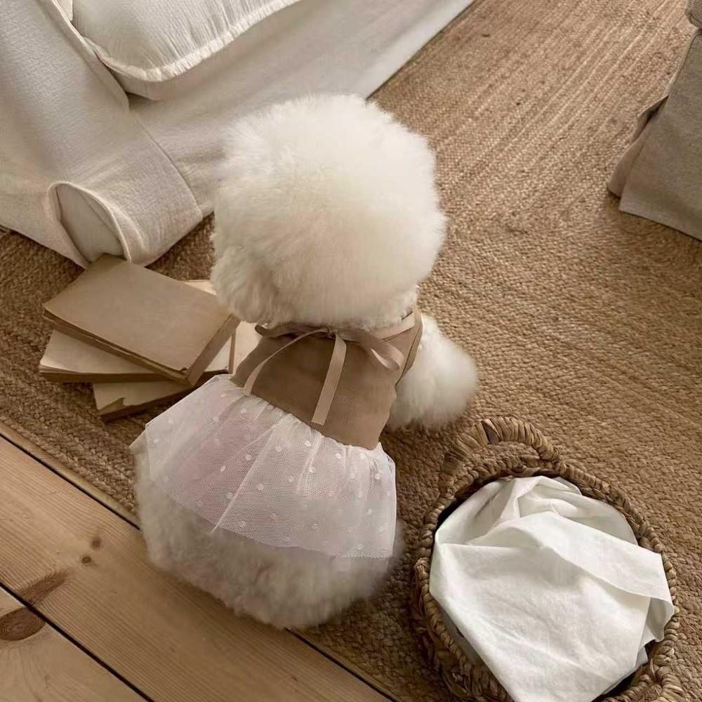 Lace Dog Dress Thin Mesh Mesh Skirt Fashion Dog Clothes  Dog Accessories