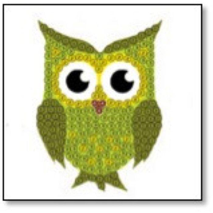 Diamond Embroidery Sticker Kit 9x9cm Owl