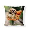 Cartoon Cute Dog Oil Double-Sided Printed Pillow Cover Short Plush Suitable Living Rooms Bedrooms Sofas Throw Cushion Cover