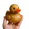Resin Whimsical Vegetable Duck Ornament Cute Miniatures Figurine Crafts Animal Sculpture  Office