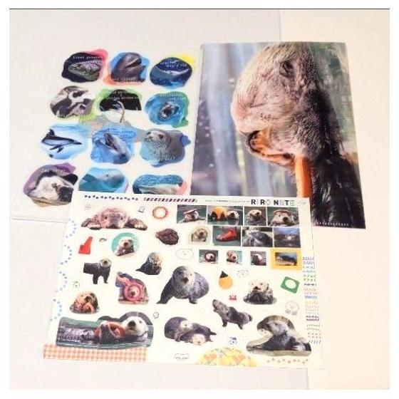 Used Sea otter Lilo-kun mini clear file sticker Marine World not for sale sticker