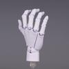 1:2 Scale Human Hand Model Movable Joints Twisted Egg Design Palm Model With Posable Fingers Mini Size Simulation Palm