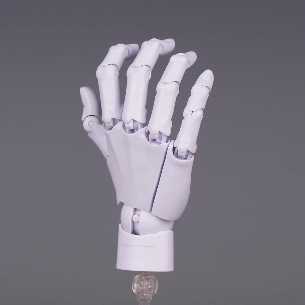 1:2 Scale Human Hand Model Movable Joints Twisted Egg Design Palm Model With Posable Fingers Mini Size Simulation Palm