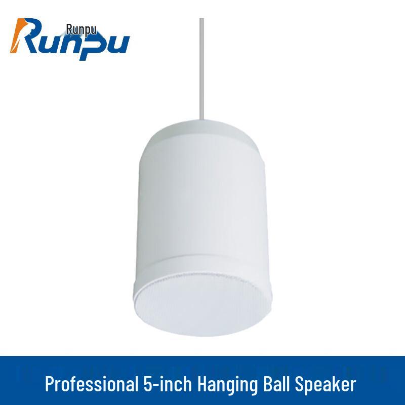 Runpu Professional Public Address Speaker Systems CN Plug (adapter Included)