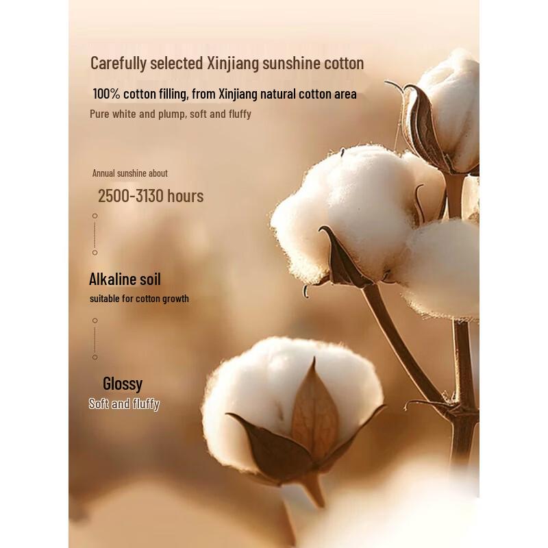 Muji Xinjiang Cotton Quilt