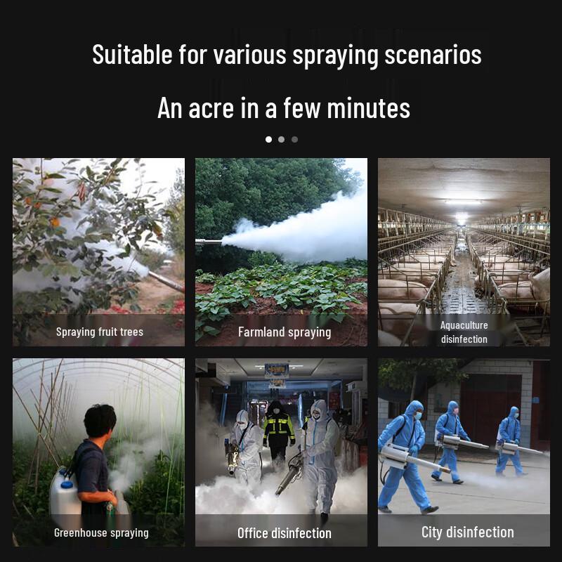Lichen Gasoline Disinfection Fogger