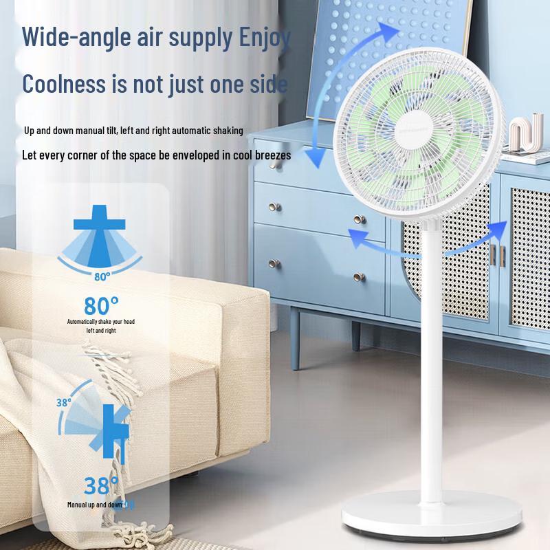 Royalstar FS12-301B Upright Air Circulation Fan