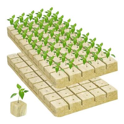 50 Pièces Cubes de Plantation Laine de Roche Cubes de Croissance Végétale Fibre Minérale Absorbants Respirants Éponges de Croissance pour Semis Hydroponie Culture Sans Terre