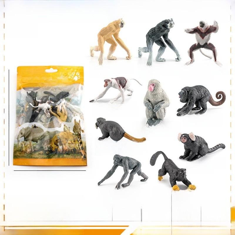 Prehistoric Mammal Skull Model With Pvc Material For Educational Museum Display And Collectors