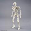 BANDAI SPIRITS 30MF Duroskeleton Color-Coded Plastic Model