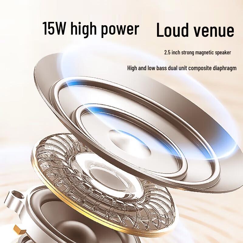 Newmine K19 Portable Karaoke Microphone Speaker