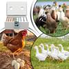 10-25 Eier Brutkasten Manuelles Drehen Stall Brutapparat Temperaturregelung Bauernhof Brutmaschine Huhn Ente Wachtel Vogel Aufzuchtbox Eier