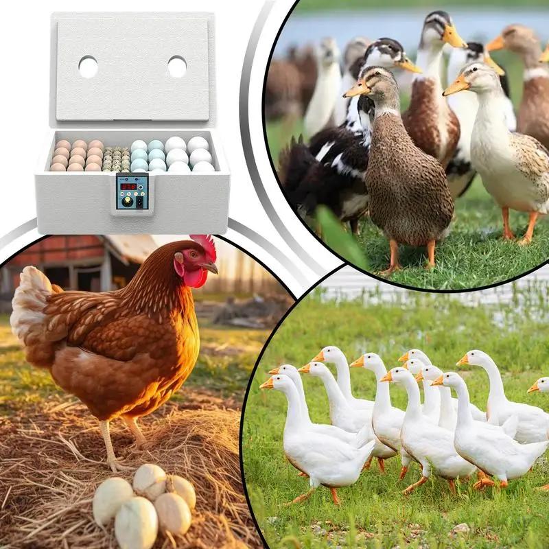 10-25 Eier Brutkasten Manuelles Drehen Stall Brutapparat Temperaturregelung Bauernhof Brutmaschine Huhn Ente Wachtel Vogel Aufzuchtbox Eier