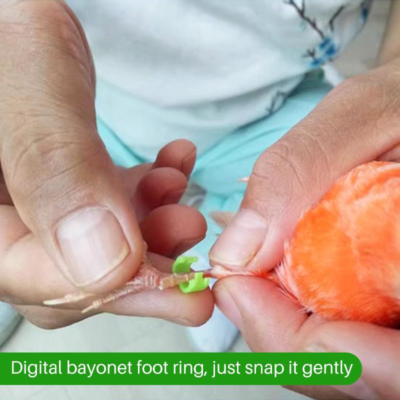 10 ks Kroužky na nohy pro malé papoušky s číslem Vnitřní průměr 2,7 mm 3 mm 4 mm 4,5 mm 5 mm Kroužek na nohu pro ptáky, holuby, křepelky Ptačí potřeby