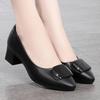 Pointed Toe Shallow Mouth Fashionable Genuine Leather Soft Sole Solid Color Thick Heel Fashionable Square Buckle Versatile Women's Shoes