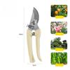 Beskjæringssaks Hagesaks Hage Albue Rett Hode Hage Plukking Fruktsaks Fjær Håndverktøy