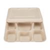 Aoran 6-Compartment Biodegradable Lunch Boxes