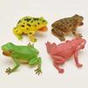 Realistic Texture Simulation Frog Toy Lifelike Appearance Toad Figurine  Animal Collections