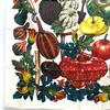 HERMES CITROUILLES & COLOQU IN TES Pumpkin and colocynth Carre90 Scarf Unused