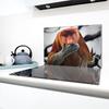 Glass Hob Protector 80x52 Nosacz