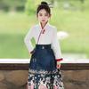 Girls' Chinese-Inspired Summer Hanfu Set – Ming & Tang Dynasty Style