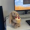 Weiches Plüschtier Hase mit langen Ohren und Geburtstagskuchen, Niedliche Stoffhase Puppe, Kawaii Plüschtier Geschenk für Kinder Geburtstagsparty, 20cm