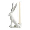 Easter Bunny Candle Holder Rabbit Taper Candle Stand Candlestick Table Centerpiece Spring Easter Holiday Party Desktop Decoration Ornament