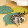 Kitten Bed Cats All Things Pet Accessory Houses House Products Beds Accessories Dog Mat Supplies Cushions Habitats Basket Puppy