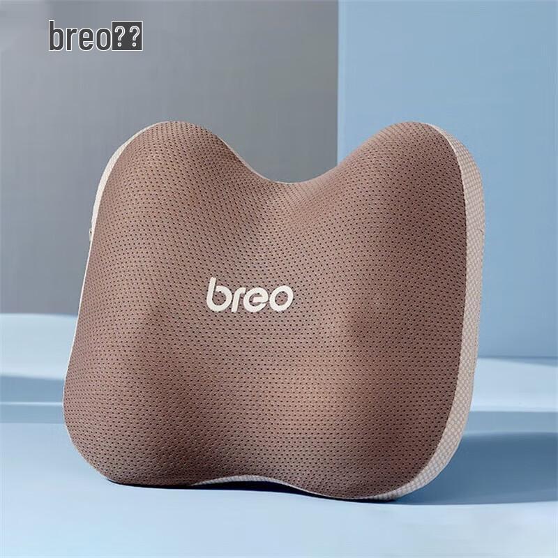 Wireless Multi-part Massage Cushion
