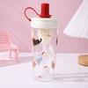700ml Water Bottle Animal Plastic Cups Portable Straw Cup  for Bubble Tea Coffee