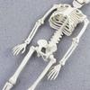 Doplňky do interiéru auta Model kostry Halloweenské rekvizity Lidské kosti Přívěsek na zpětné zrcátko auta