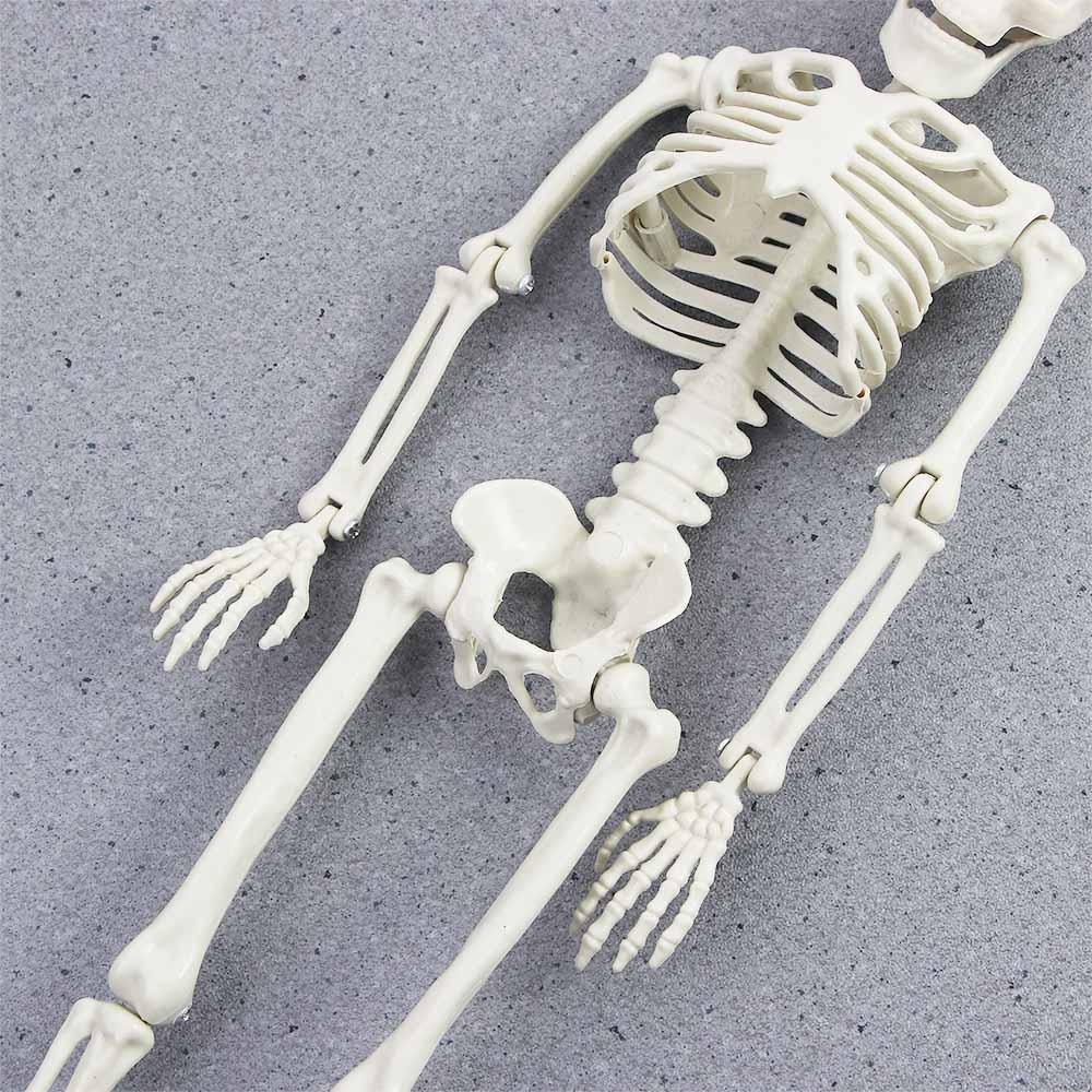 Doplňky do interiéru auta Model kostry Halloweenské rekvizity Lidské kosti Přívěsek na zpětné zrcátko auta