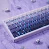 PBT Double-Shot Tastenkappen für Mechanische Tastatur 134 Tasten Gradient Lila Hintergrundbeleuchtet OEM Profil Tastenkappen Seitendruck Durchscheinend Custom Tastatur Keycap