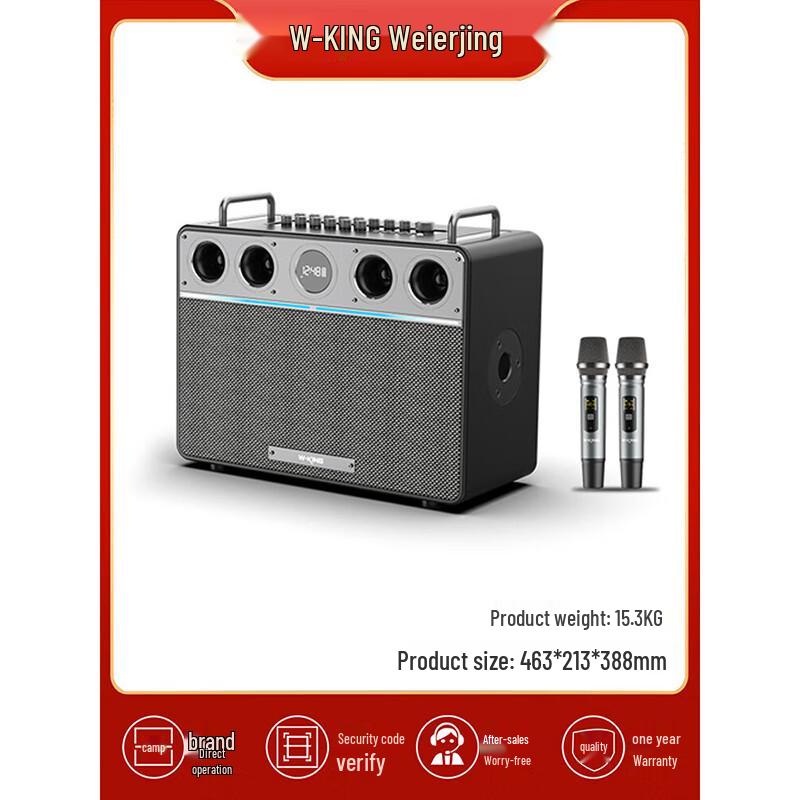 W-King T16PLUS 300W Portable KTV Bluetooth Speaker