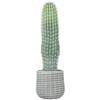 Artificial Cactus, 66 Cm, Decorative Plant with Pot, Indoor Decoration, Green