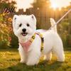 Durable Metal Traction Ring No Pull Dog Harness with 5Ft Leash, Cute Colorful Wings Harness, Adjustable Medium Walking Vest Reflective Handle