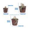 Y5GD Nordics Creative Round Succulents Flower Pot Lazy Succulents Pot Succulents Plant Mini Cartoon Resin Flower Pot For Stable