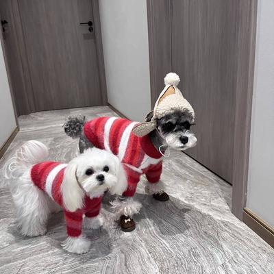 Bekleidung & Schuhe – Pullover für Hunde
