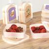 Portable Clear Toast Shaped Lunch Box with Lid Sandwich Bread Container Large Bento Box for School Office Picnic Meal Storage