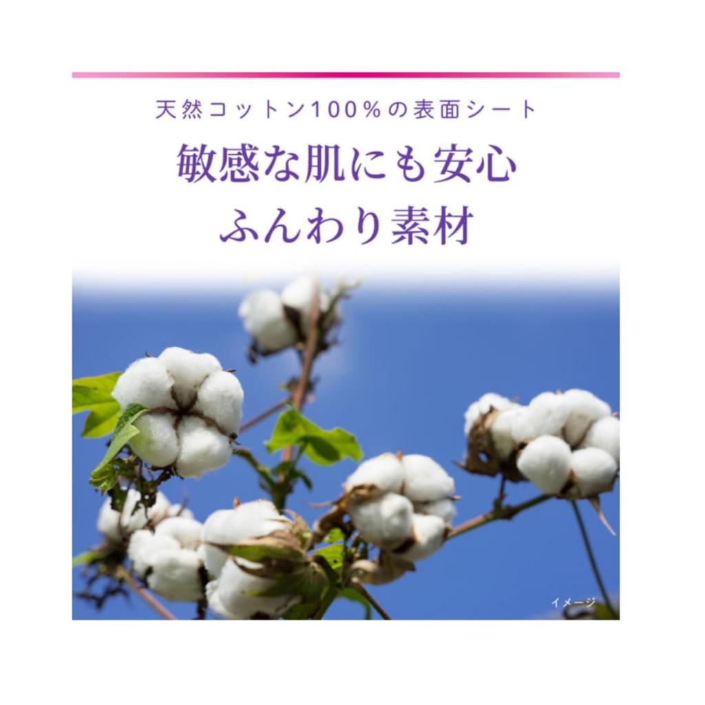 Bulk Sarasaty Sararie Panty Liners for 20 Sheets per Set of Deodorizing Light Daily No Wings Purchase SARA LI E T-Back Panties, Unscented, Pack, 3,