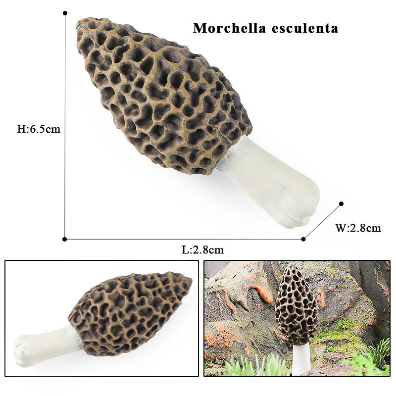 Oenux Pretend Play Toy Cute Fruits Vegetables Mushroom Model Cake Toppers Foods Jouet Family Fun Early Education For Kids Gift