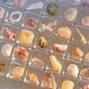 36/64/100 Grids Acrylic Seashell Storage Box Clear Magnetic Seashell Display Case Stackable Decorative Seashell Starfish Trinket