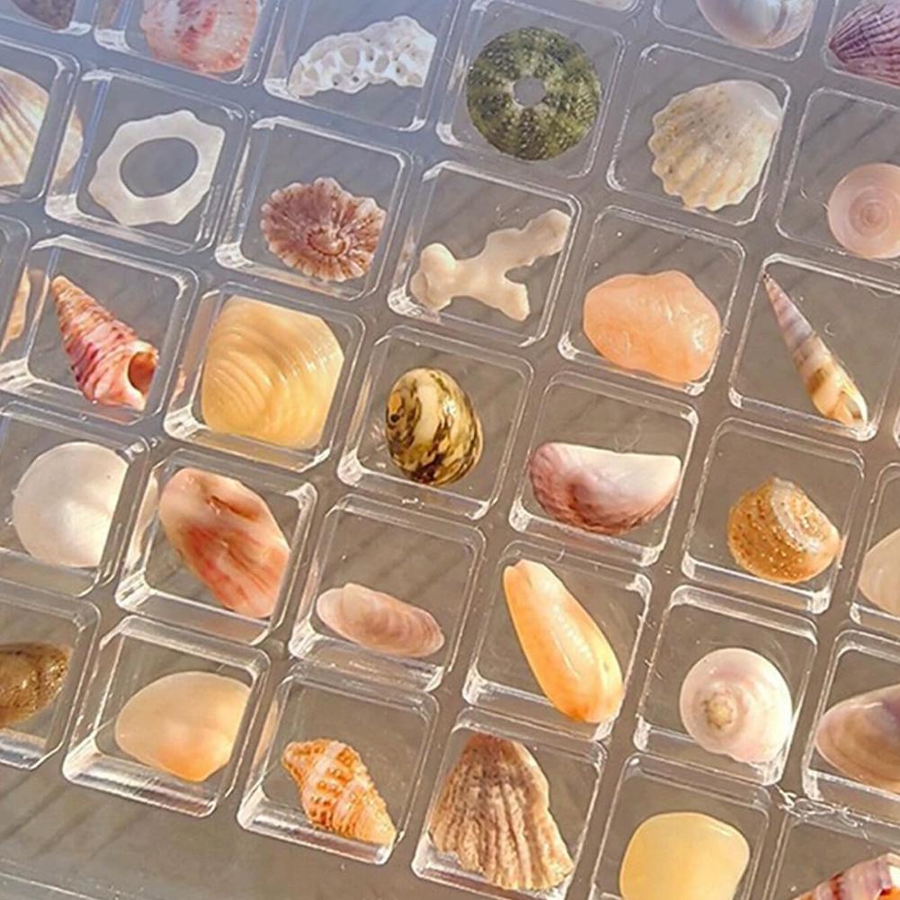 36/64/100 Grids Acrylic Seashell Storage Box Clear Magnetic Seashell Display Case Stackable Decorative Seashell Starfish Trinket