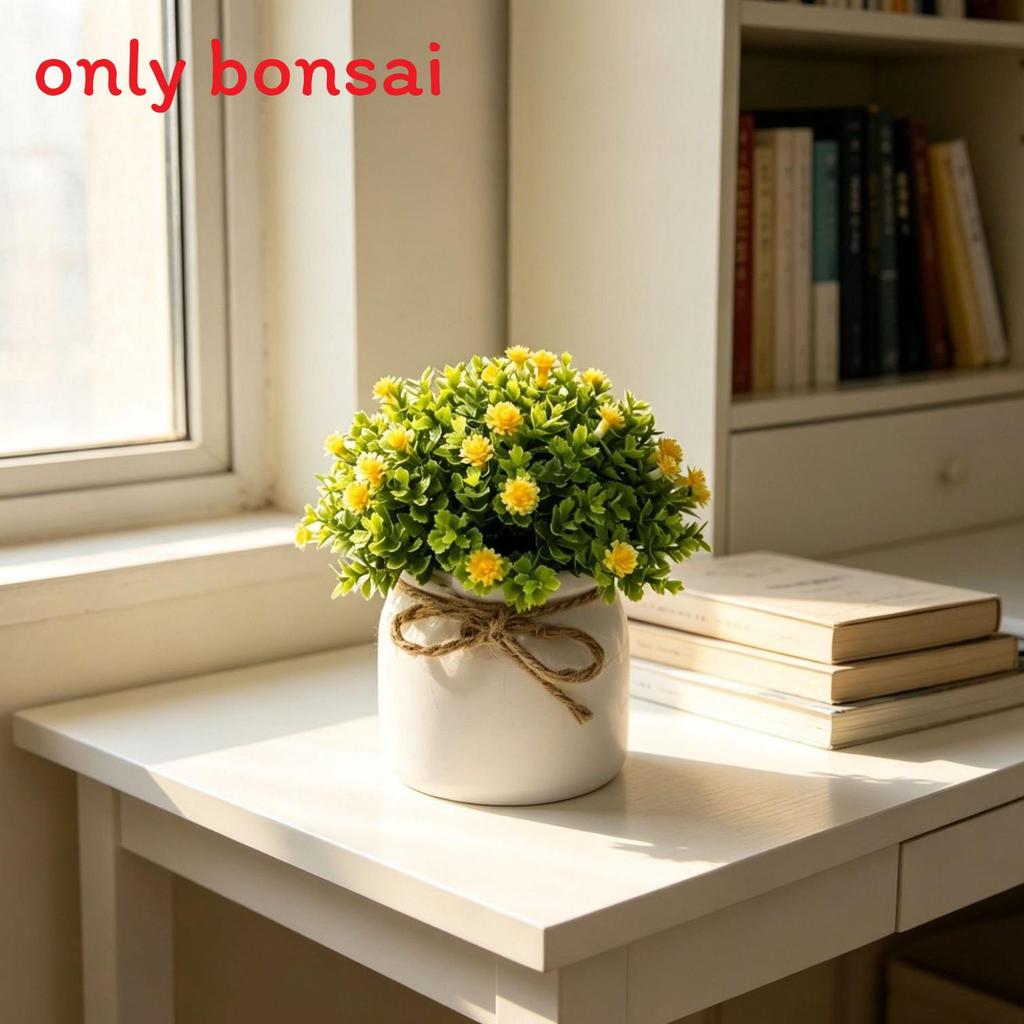 Full Sky Star Artificial Flower Pot For Home Decor And Photography Prop