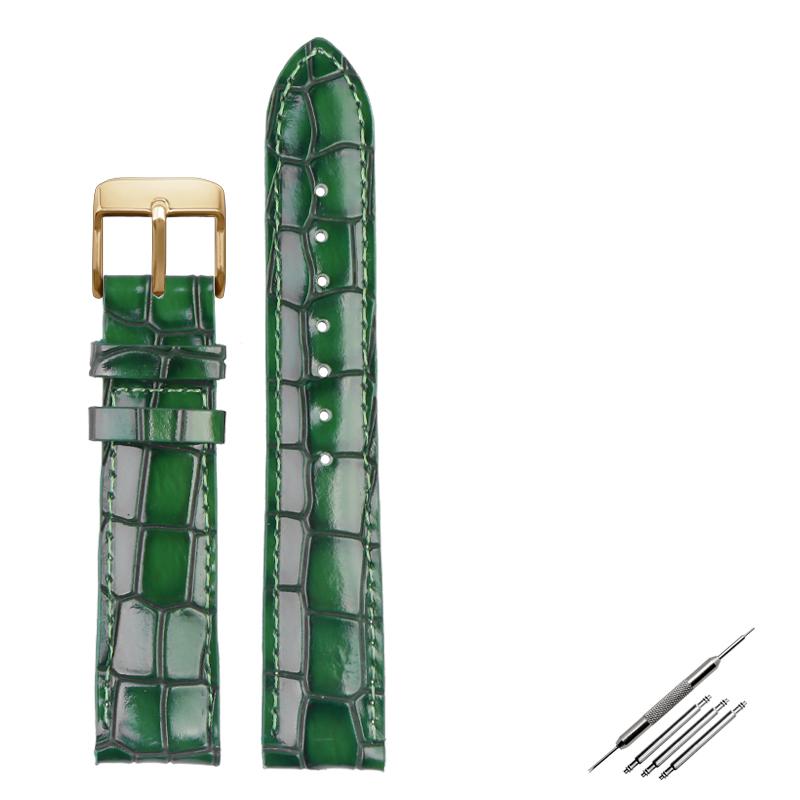 Crocodile Texture Calfskin Leather Watch Strap18mm 20mm 22mm Watchband For Men's Watch Accessories Solid Buckle Blue Green Brown