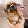 Room Decor Puppy Plush Toys Simulation Pug Poodle Sitting Poodle Pug Puppy Stuffed Animal Doll