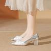 French Beautiful High Heels Spring and Autumn New Silver Small Fragrant Style Pointed Head Light Mouth Thick Heel with Skirt Single Shoes Women