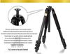 Era Q620 Lightweight DSLR Tripod with 3D Ball Head and Large Diameter Tubes for Photography and Video