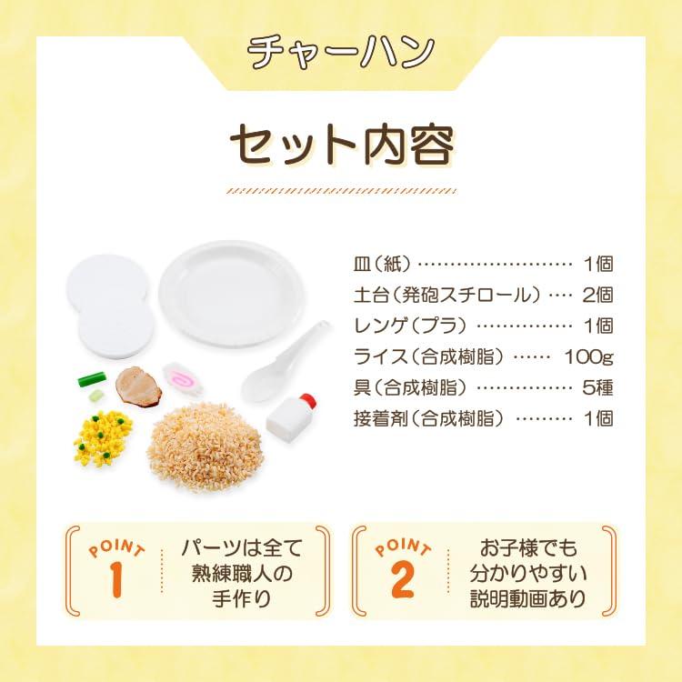 Original Food Sample Shop DIY Food Sample Kit Samplerun 6 Fried Made with Safe Ingredients for Replica DIY Crafts [Official] Vol. Rice, Kids,